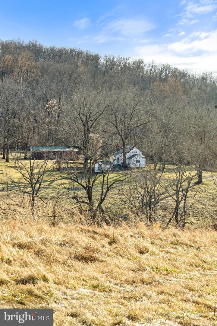 3671 HALFWAY RD, THE PLAINS, Virginia 20198, ,Farm,For sale,3671 HALFWAY RD,VAFQ2016358 MLS # VAFQ2016358