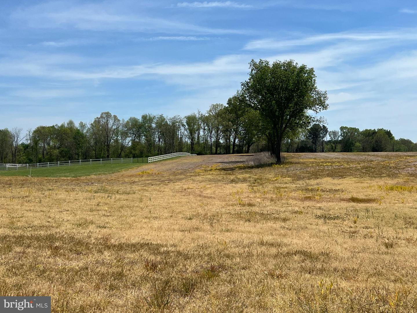 LANGHORNE, SCOTTSVILLE, Virginia 24590, ,Farm,For sale,LANGHORNE,VAAB2000952 MLS # VAAB2000952