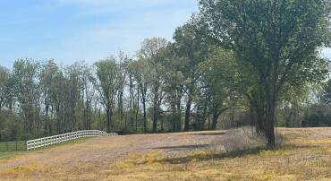 LANGHORNE, SCOTTSVILLE, Virginia 24590, ,Farm,For sale,LANGHORNE,VAAB2000952 MLS # VAAB2000952