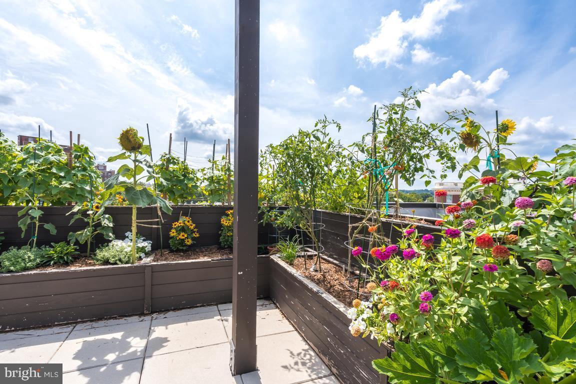 1794 LANIER PL NW #308, WASHINGTON, District Of Columbia 20009, 2 Bedrooms Bedrooms, ,2 BathroomsBathrooms,Residential,For sale,1794 LANIER PL NW #308,DCDC2188068 MLS # DCDC2188068