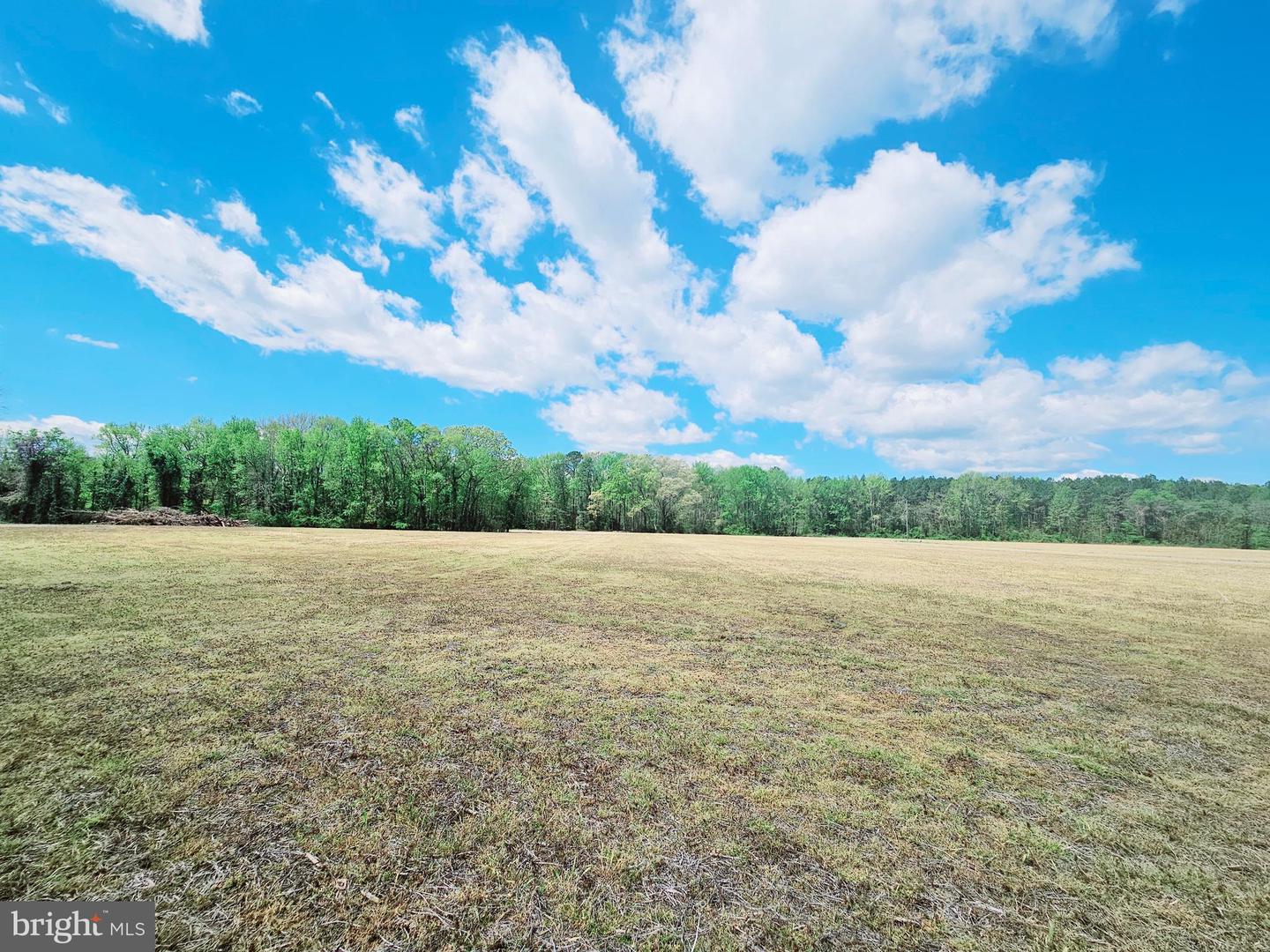 LOT 5 ZACATA RD, MONTROSS, Virginia 22520, ,Land,For sale,LOT 5 ZACATA RD,VAWE2008738 MLS # VAWE2008738