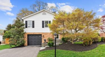 8717 PARRY LN, ALEXANDRIA, Virginia 22308, 4 Bedrooms Bedrooms, ,3 BathroomsBathrooms,Residential,For sale,8717 PARRY LN,VAFX2230416 MLS # VAFX2230416