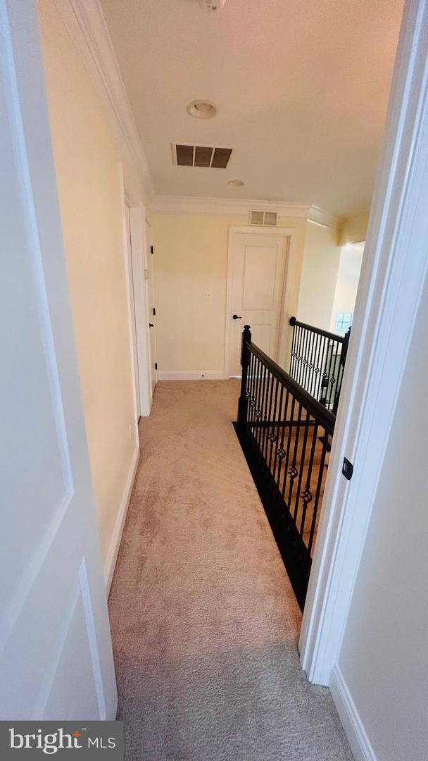 25685 ARBORSHADE PASS PL, ALDIE, Virginia 20105, 4 Bedrooms Bedrooms, ,3 BathroomsBathrooms,Residential,For sale,25685 ARBORSHADE PASS PL,VALO2091244 MLS # VALO2091244