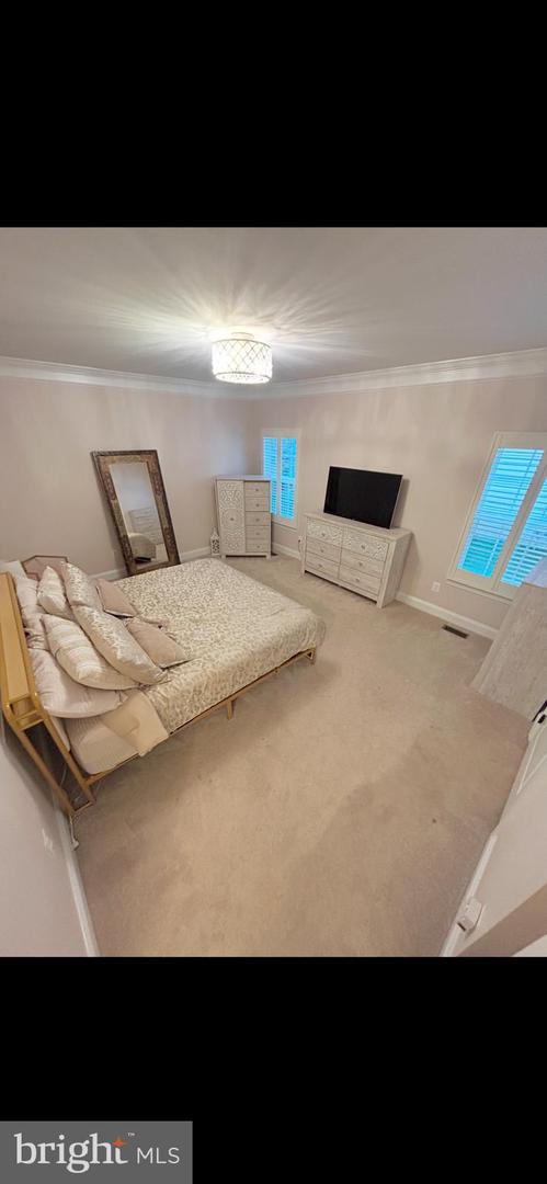 25685 ARBORSHADE PASS PL, ALDIE, Virginia 20105, 4 Bedrooms Bedrooms, ,3 BathroomsBathrooms,Residential,For sale,25685 ARBORSHADE PASS PL,VALO2091244 MLS # VALO2091244