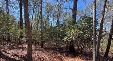 LOT 1897 BUCCANEER BLVD, GREENBACKVILLE, Virginia 23356, ,Land,For sale,LOT 1897 BUCCANEER BLVD,VAAC2001826 MLS # VAAC2001826