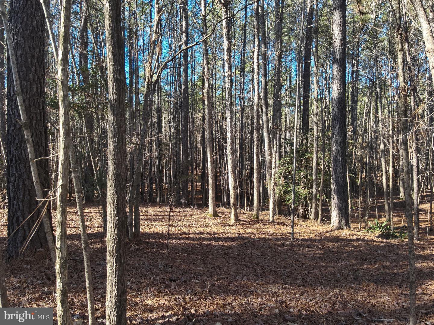 0 COUNTRY LN, GASBURG, Virginia 23857, ,Land,For sale,0 COUNTRY LN,VABW2000072 MLS # VABW2000072