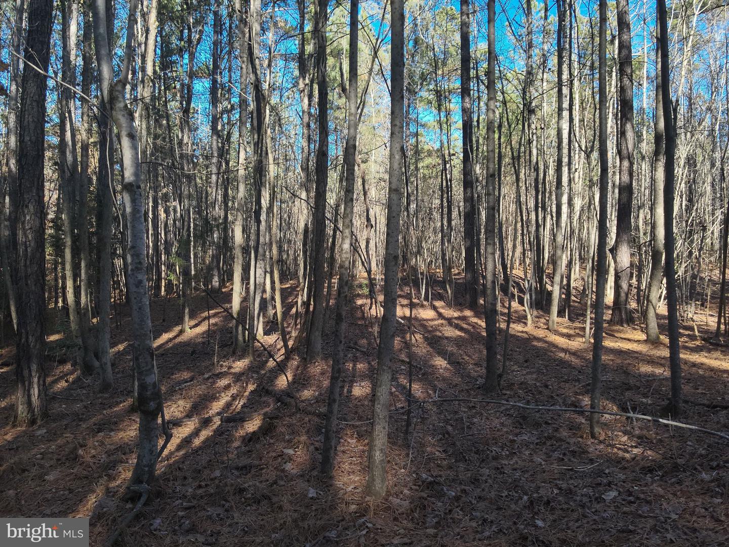 0 COUNTRY LN, GASBURG, Virginia 23857, ,Land,For sale,0 COUNTRY LN,VABW2000072 MLS # VABW2000072