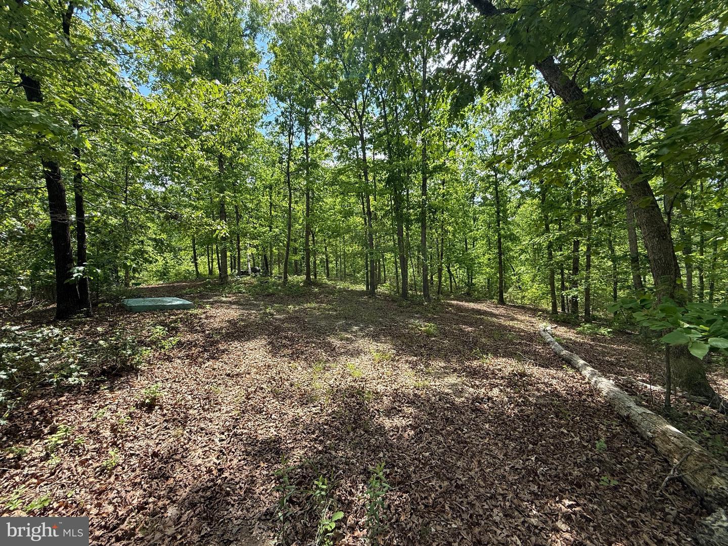 4612 KING WILLIAM RD, AYLETT, Virginia 23009, ,Land,For sale,4612 KING WILLIAM RD,VAKW2000234 MLS # VAKW2000234