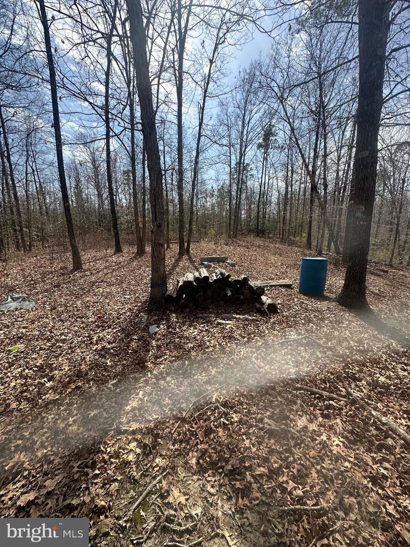 4612 KING WILLIAM RD, AYLETT, Virginia 23009, ,Land,For sale,4612 KING WILLIAM RD,VAKW2000234 MLS # VAKW2000234