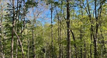 0 ALLENS CREEK RD, GLADSTONE, Virginia 24553, ,Land,For sale,0 ALLENS CREEK RD,663843 MLS # 663843