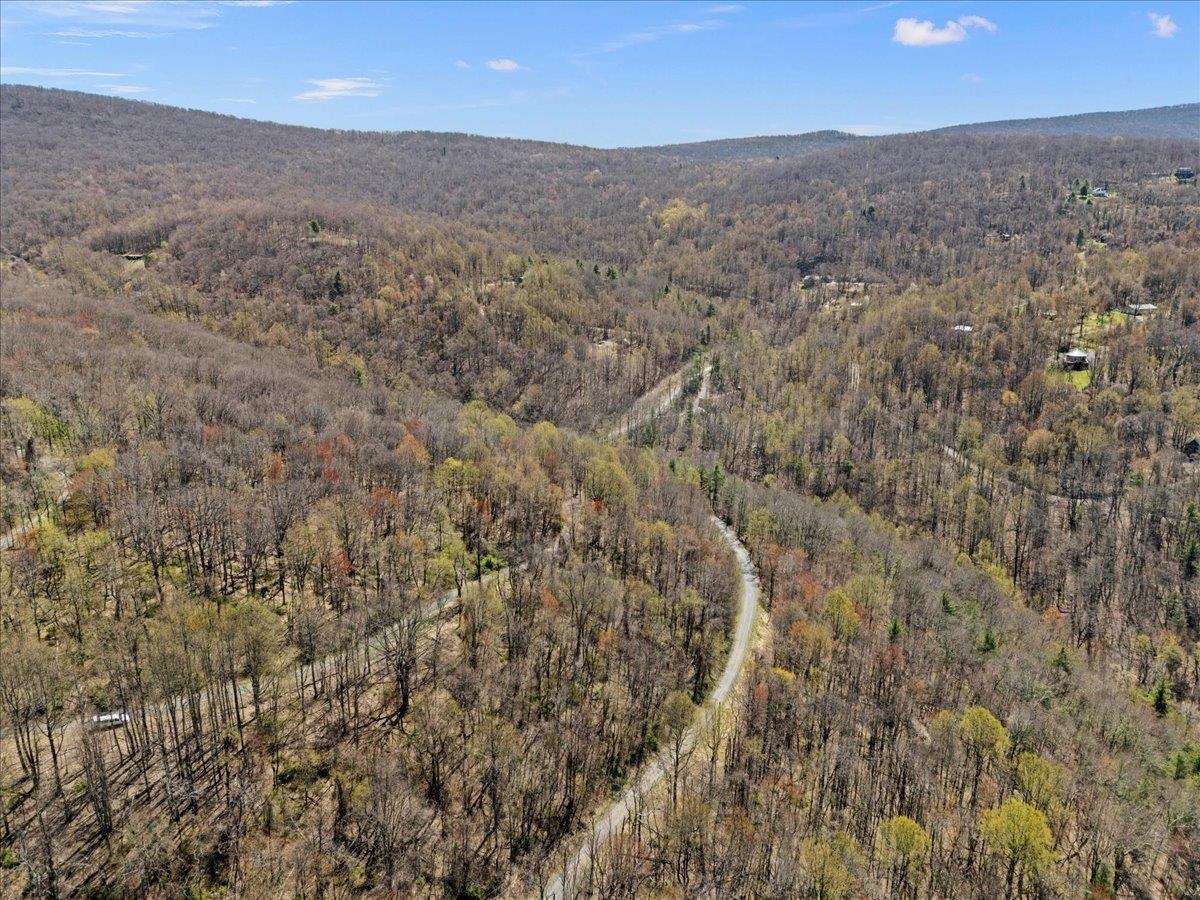 Lots 40 & 42 PETES PL, STANLEY, Virginia 22851, ,Land,Lots 40 & 42 PETES PL,663870 MLS # 663870