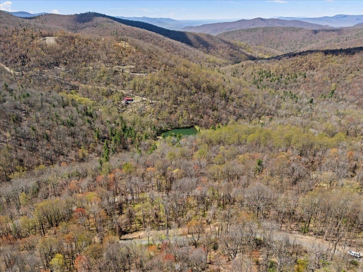 Lots 40 & 42 PETES PL, STANLEY, Virginia 22851, ,Land,Lots 40 & 42 PETES PL,663870 MLS # 663870
