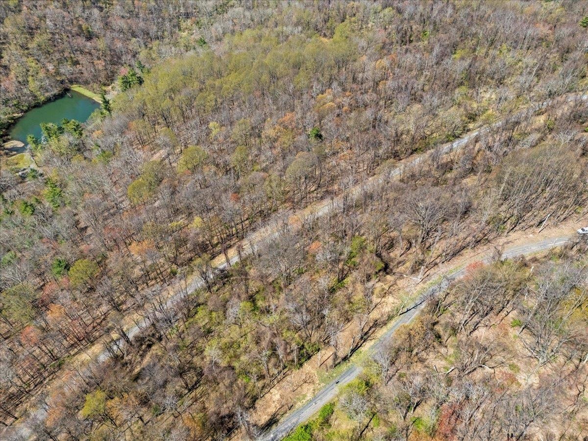 Lots 40 & 42 PETES PL, STANLEY, Virginia 22851, ,Land,Lots 40 & 42 PETES PL,663870 MLS # 663870
