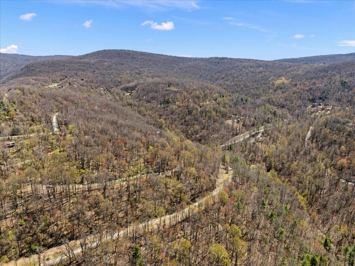 Lots 40 & 42 PETES PL, STANLEY, Virginia 22851, ,Land,Lots 40 & 42 PETES PL,663870 MLS # 663870