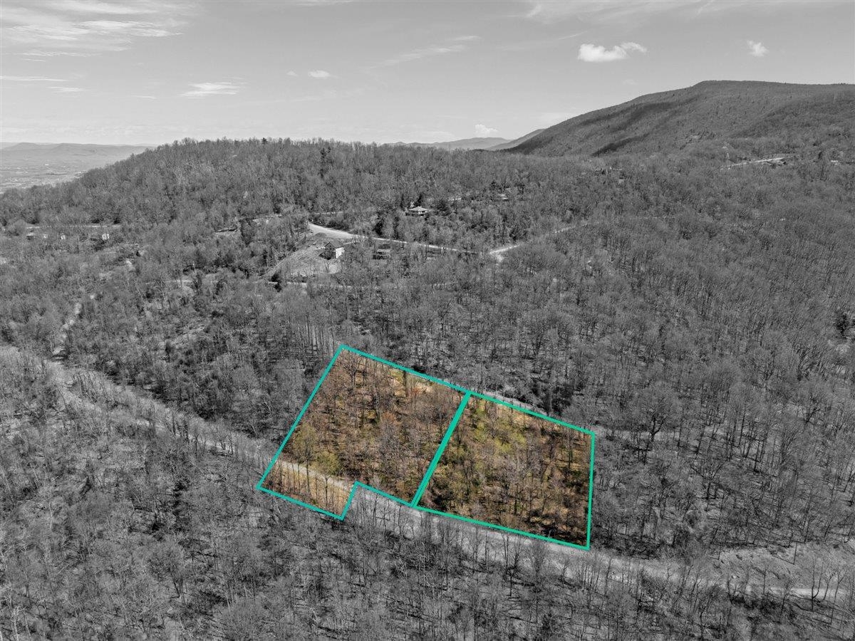 Lots 40 & 42 PETES PL, STANLEY, Virginia 22851, ,Land,Lots 40 & 42 PETES PL,663870 MLS # 663870