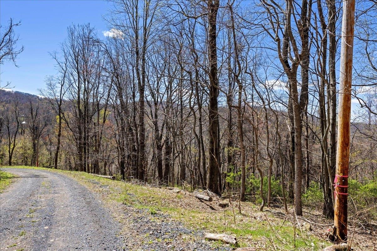 Lots 40 & 42 PETES PL, STANLEY, Virginia 22851, ,Land,Lots 40 & 42 PETES PL,663870 MLS # 663870