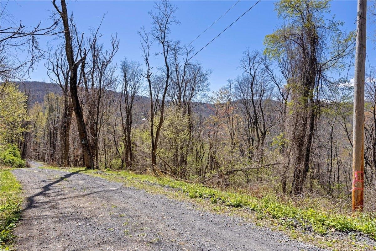 Lots 40 & 42 PETES PL, STANLEY, Virginia 22851, ,Land,Lots 40 & 42 PETES PL,663870 MLS # 663870