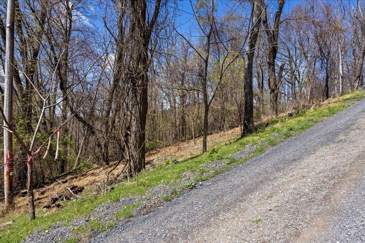 Lots 40 & 42 PETES PL, STANLEY, Virginia 22851, ,Land,Lots 40 & 42 PETES PL,663870 MLS # 663870