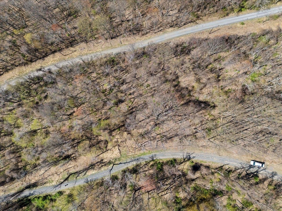 Lots 40 & 42 PETES PL, STANLEY, Virginia 22851, ,Land,Lots 40 & 42 PETES PL,663870 MLS # 663870