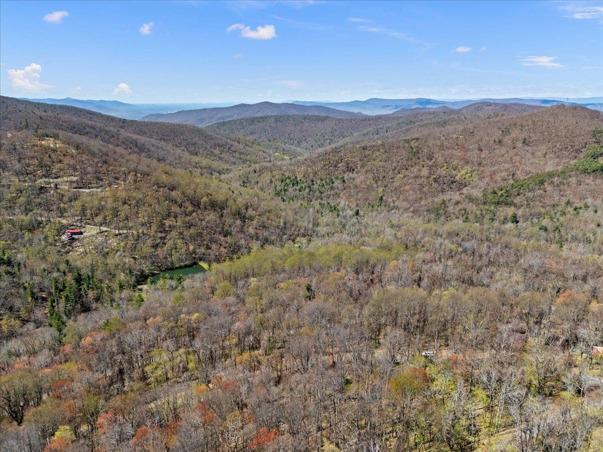 Lots 40 & 42 PETES PL, STANLEY, Virginia 22851, ,Land,Lots 40 & 42 PETES PL,663870 MLS # 663870
