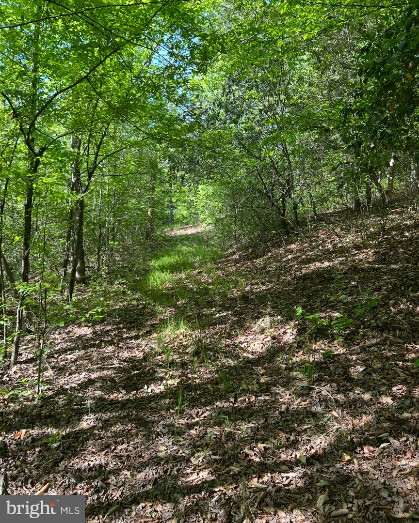 LOT 3 WALLACE STREET, WARSAW, Virginia 22572, ,Land,For sale,LOT 3 WALLACE STREET,VARV2000492 MLS # VARV2000492