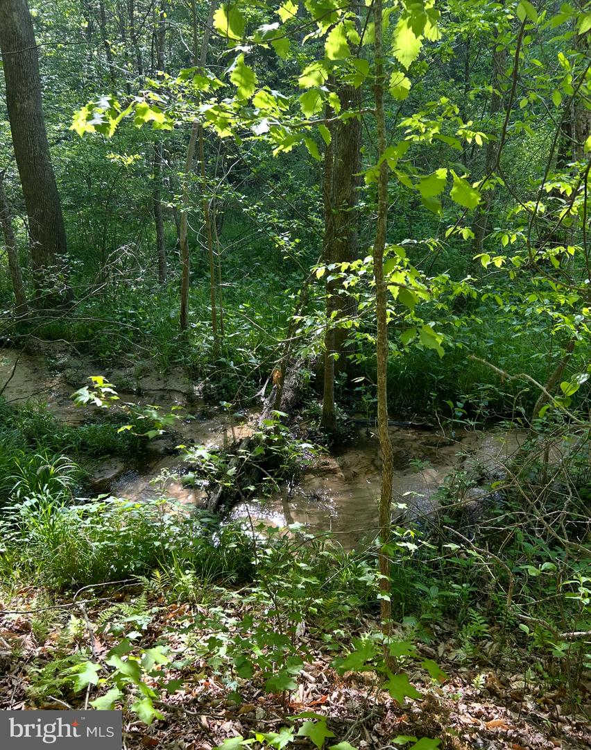 LOT 3 WALLACE STREET, WARSAW, Virginia 22572, ,Land,For sale,LOT 3 WALLACE STREET,VARV2000492 MLS # VARV2000492
