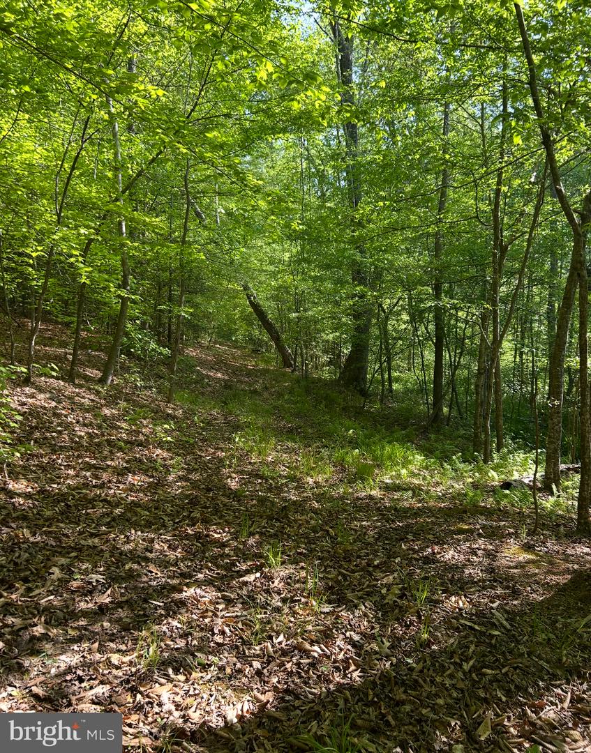 LOT 3 WALLACE STREET, WARSAW, Virginia 22572, ,Land,For sale,LOT 3 WALLACE STREET,VARV2000492 MLS # VARV2000492