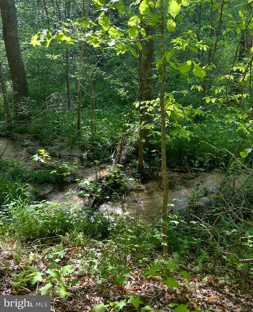 LOT 3 WALLACE STREET, WARSAW, Virginia 22572, ,Land,For sale,LOT 3 WALLACE STREET,VARV2000492 MLS # VARV2000492