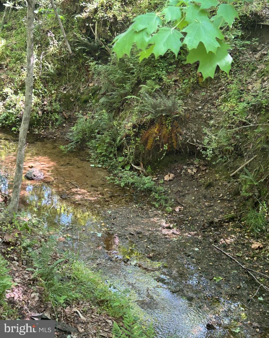 LOT 3 WALLACE STREET, WARSAW, Virginia 22572, ,Land,For sale,LOT 3 WALLACE STREET,VARV2000492 MLS # VARV2000492