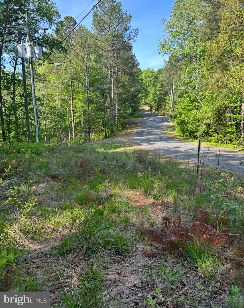 LOT 3 WALLACE STREET, WARSAW, Virginia 22572, ,Land,For sale,LOT 3 WALLACE STREET,VARV2000492 MLS # VARV2000492