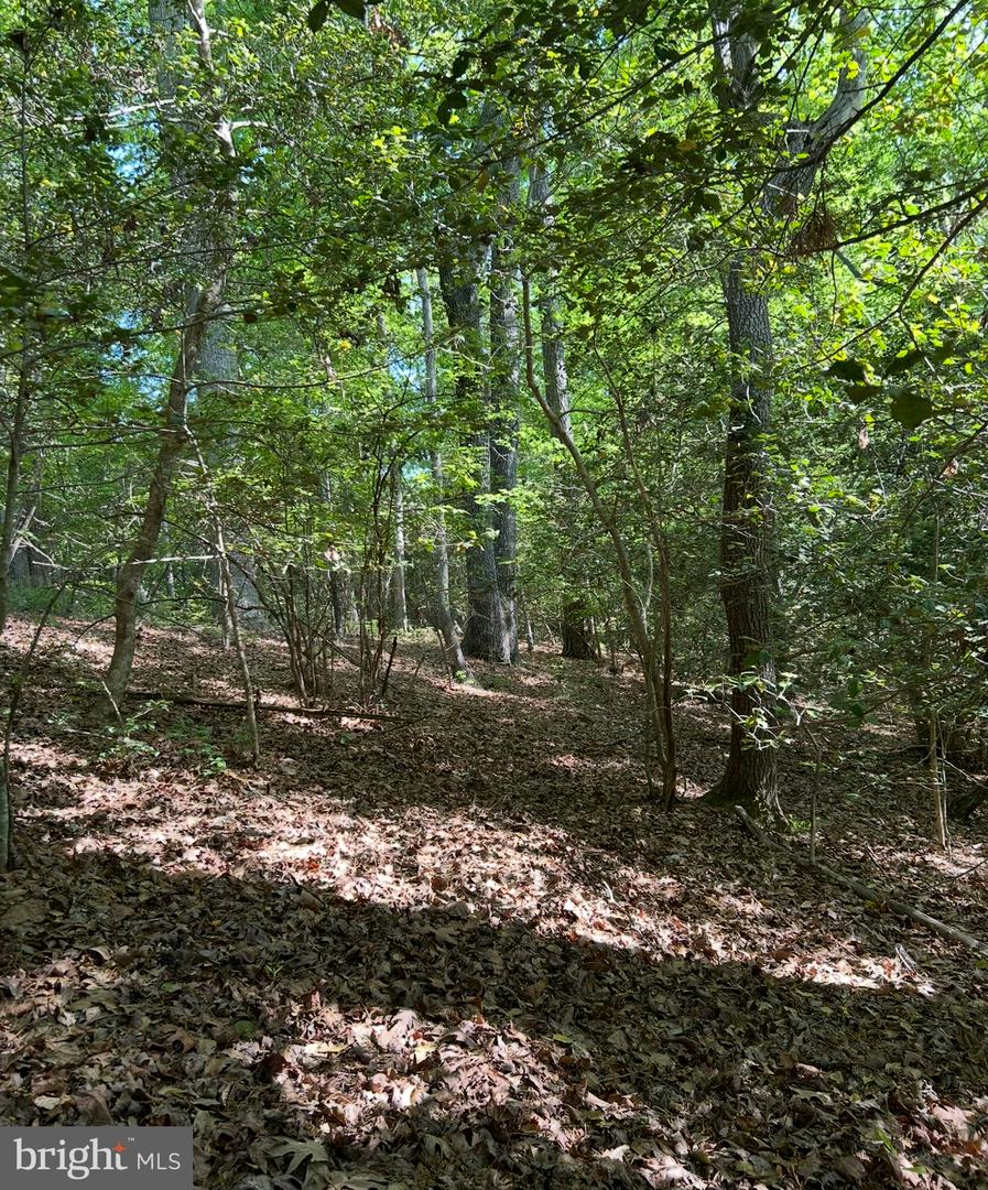 LOT 3 WALLACE STREET, WARSAW, Virginia 22572, ,Land,For sale,LOT 3 WALLACE STREET,VARV2000492 MLS # VARV2000492