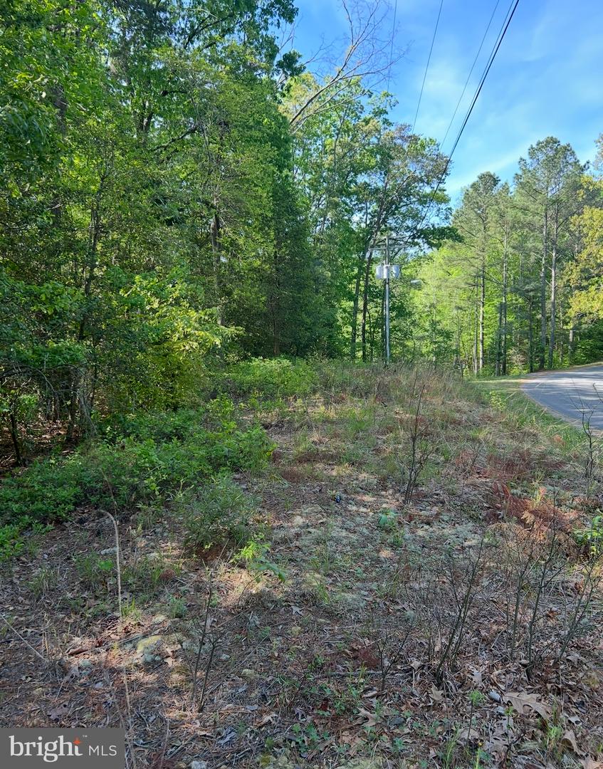 LOT 1 WALLACE STREET, WARSAW, Virginia 22572, ,Land,For sale,LOT 1 WALLACE STREET,VARV2000494 MLS # VARV2000494