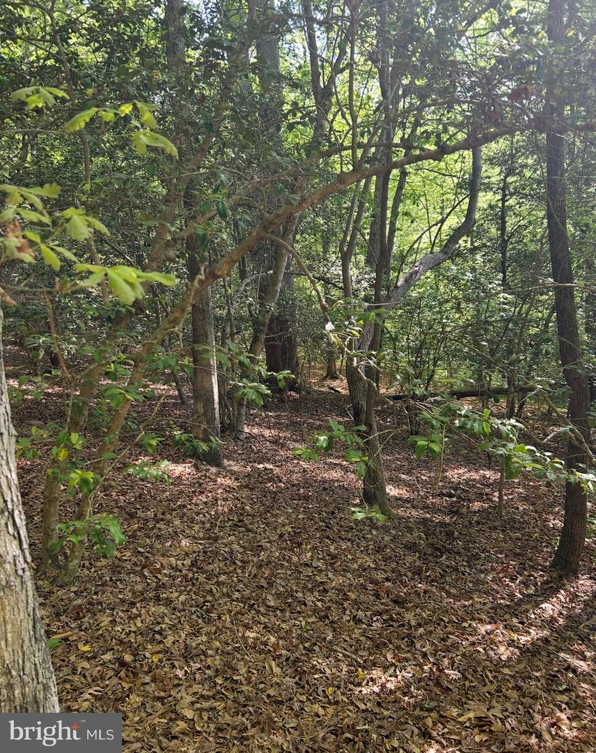 LOT 1 WALLACE STREET, WARSAW, Virginia 22572, ,Land,For sale,LOT 1 WALLACE STREET,VARV2000494 MLS # VARV2000494