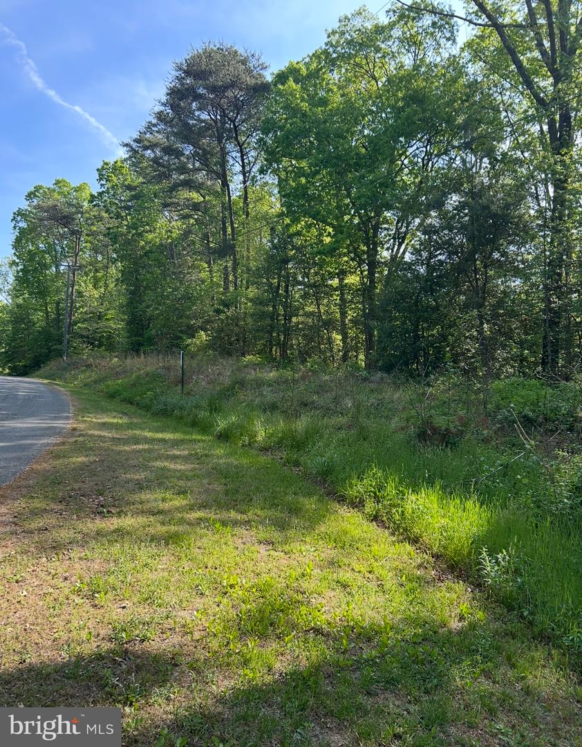 LOT 1 WALLACE STREET, WARSAW, Virginia 22572, ,Land,For sale,LOT 1 WALLACE STREET,VARV2000494 MLS # VARV2000494