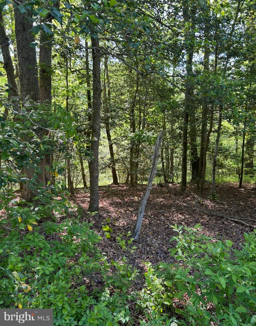 LOT 2 WALLACE STREET, WARSAW, Virginia 22572, ,Land,For sale,LOT 2 WALLACE STREET,VARV2000496 MLS # VARV2000496