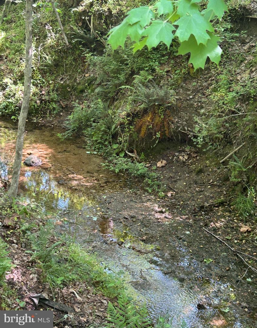 LOT 2 WALLACE STREET, WARSAW, Virginia 22572, ,Land,For sale,LOT 2 WALLACE STREET,VARV2000496 MLS # VARV2000496