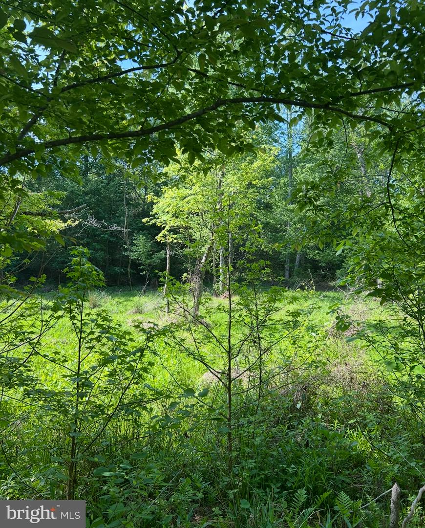 LOT 2 WALLACE STREET, WARSAW, Virginia 22572, ,Land,For sale,LOT 2 WALLACE STREET,VARV2000496 MLS # VARV2000496