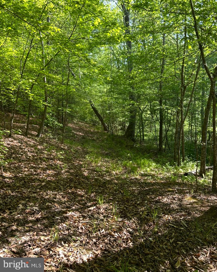 LOT 2 WALLACE STREET, WARSAW, Virginia 22572, ,Land,For sale,LOT 2 WALLACE STREET,VARV2000496 MLS # VARV2000496
