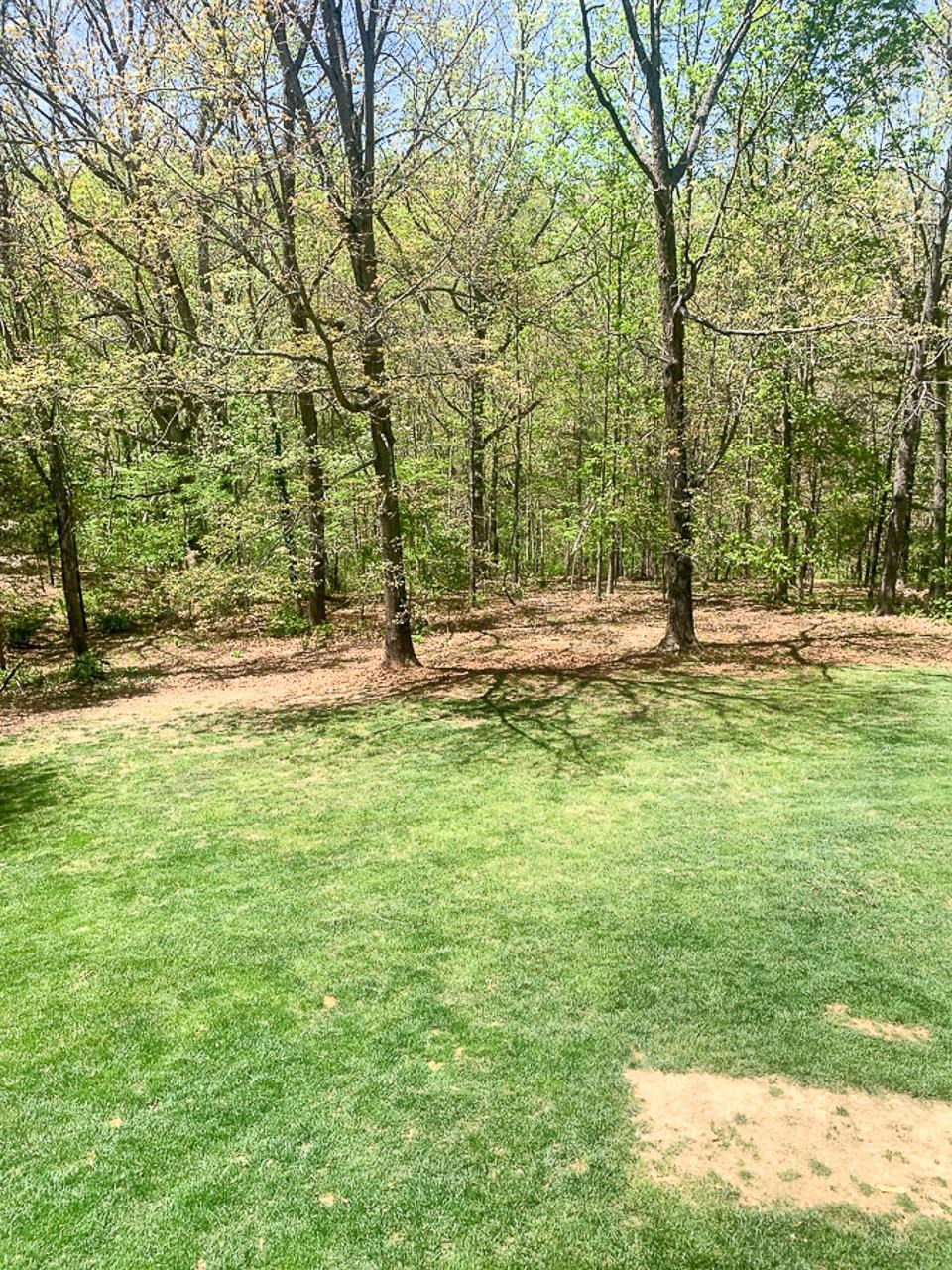 209 RAINTREE RD, VERONA, Virginia 24482, 3 Bedrooms Bedrooms, ,3 BathroomsBathrooms,Residential,209 RAINTREE RD., VERONA, VA,209 RAINTREE RD,663882 MLS # 663882