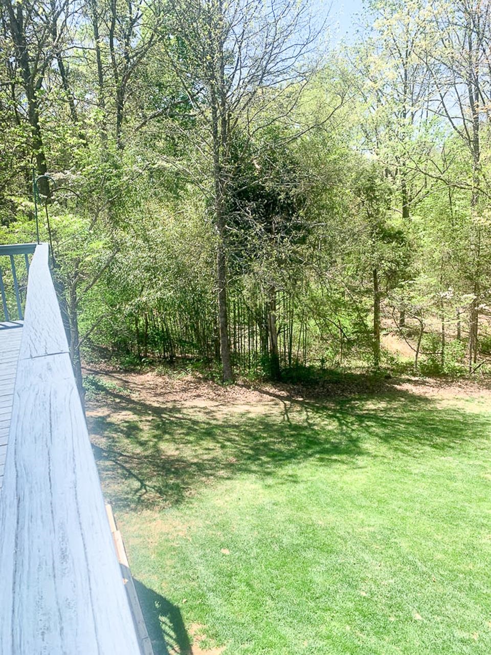 209 RAINTREE RD, VERONA, Virginia 24482, 3 Bedrooms Bedrooms, ,3 BathroomsBathrooms,Residential,209 RAINTREE RD., VERONA, VA,209 RAINTREE RD,663882 MLS # 663882