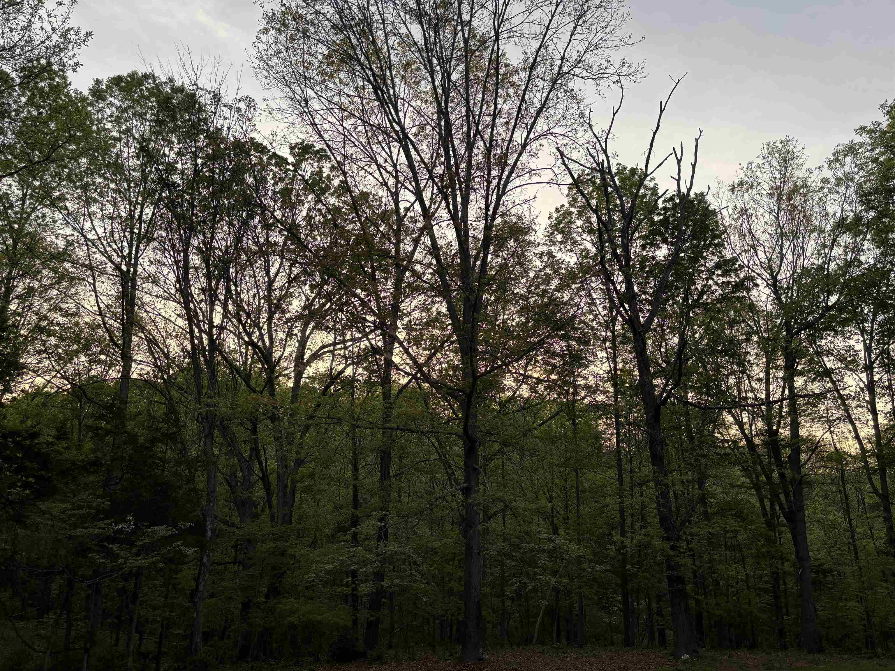 209 RAINTREE RD, VERONA, Virginia 24482, 3 Bedrooms Bedrooms, ,3 BathroomsBathrooms,Residential,209 RAINTREE RD., VERONA, VA,209 RAINTREE RD,663882 MLS # 663882