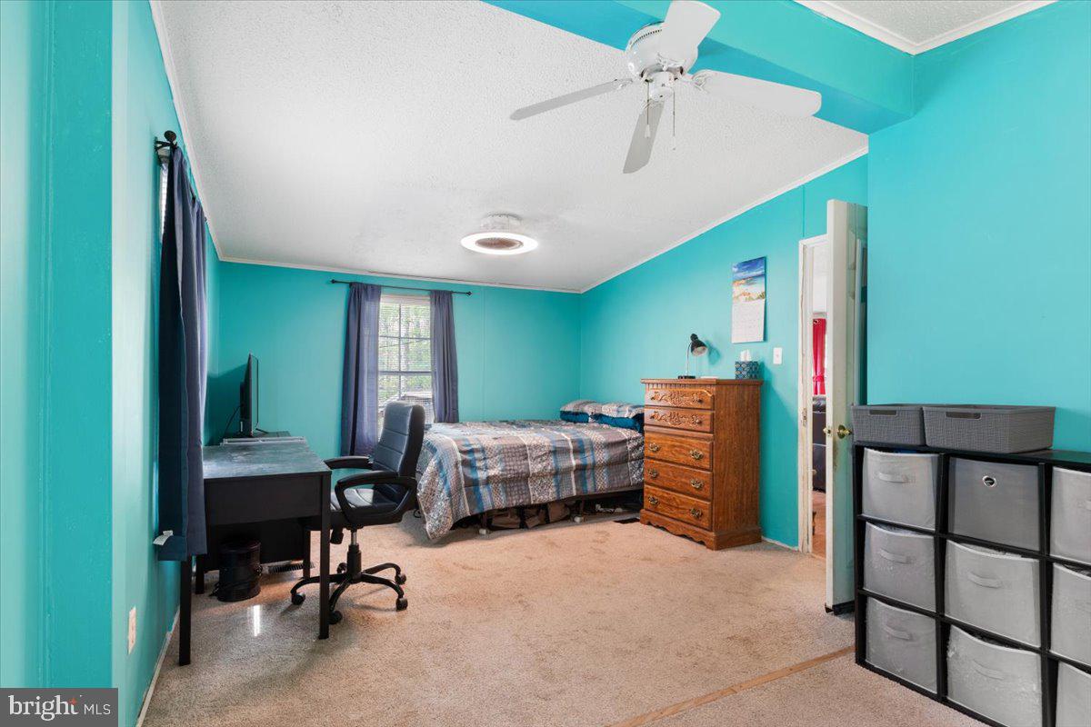 10340 SWIFT RD, PARTLOW, Virginia 22534, 3 Bedrooms Bedrooms, ,2 BathroomsBathrooms,Residential,For sale,10340 SWIFT RD,VASP2032230 MLS # VASP2032230