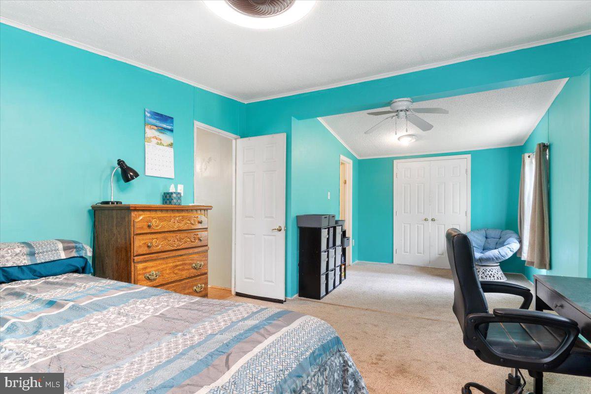 10340 SWIFT RD, PARTLOW, Virginia 22534, 3 Bedrooms Bedrooms, ,2 BathroomsBathrooms,Residential,For sale,10340 SWIFT RD,VASP2032230 MLS # VASP2032230