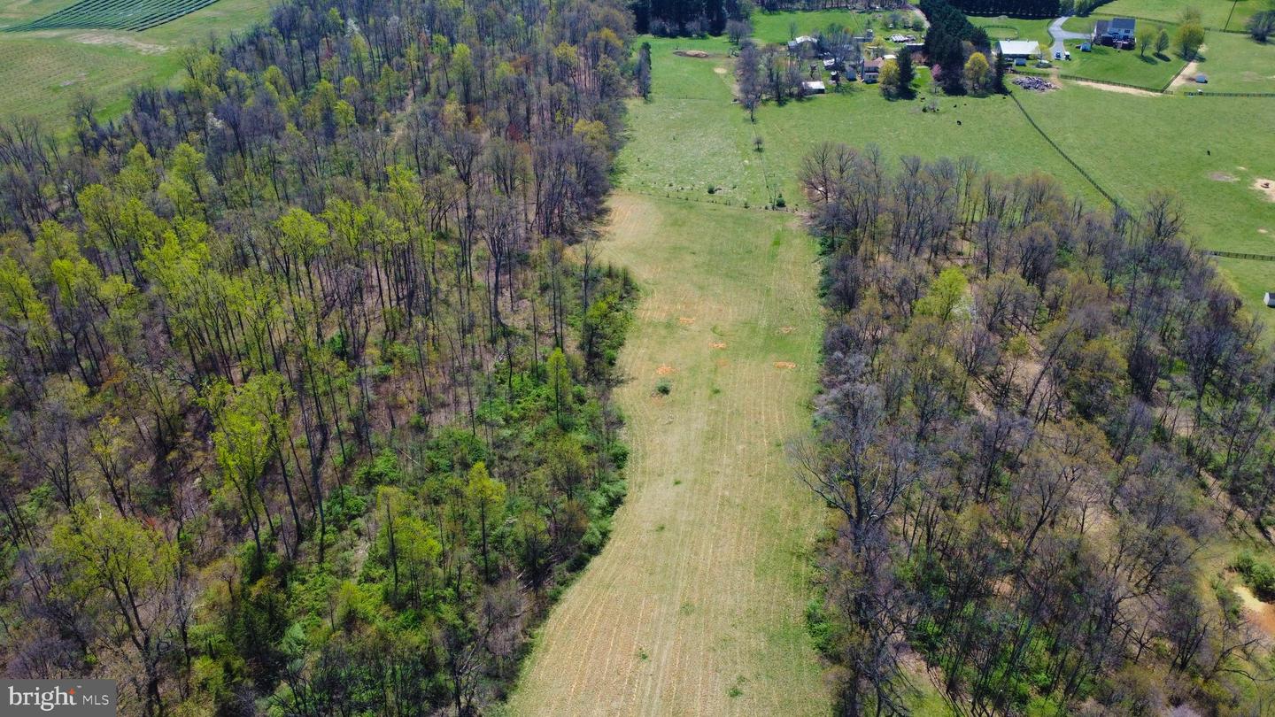 4661 MIDDLE RD, WINCHESTER, Virginia 22602, 3 Bedrooms Bedrooms, 9 Rooms Rooms,2 BathroomsBathrooms,Farm,For sale,4661 MIDDLE RD,VAFV2033806 MLS # VAFV2033806