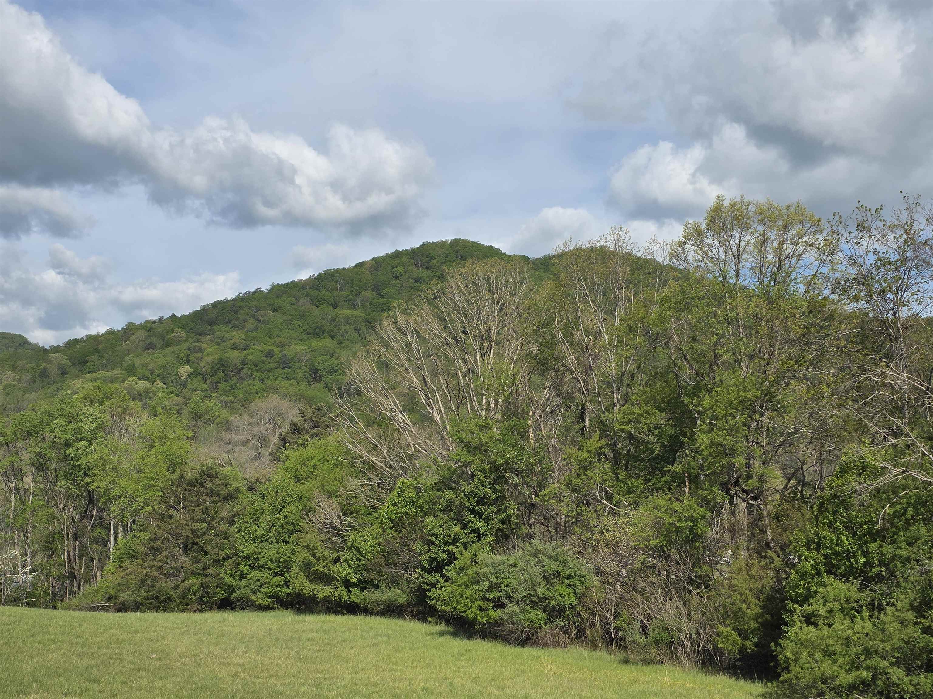 TBD, NATURAL BRIDGE STATION, Virginia 24579, ,Land,TBD,663895 MLS # 663895