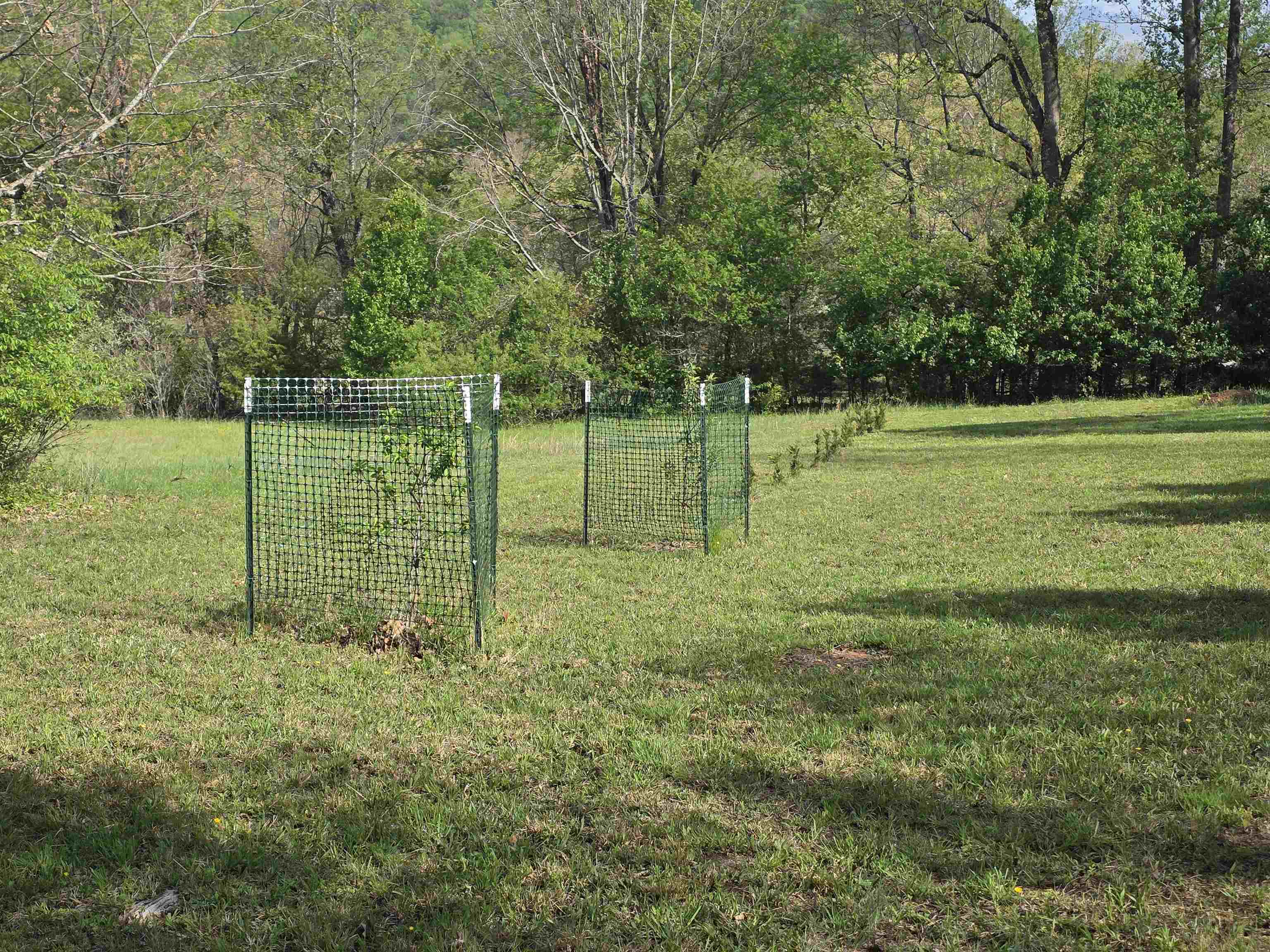 TBD, NATURAL BRIDGE STATION, Virginia 24579, ,Land,TBD,663895 MLS # 663895