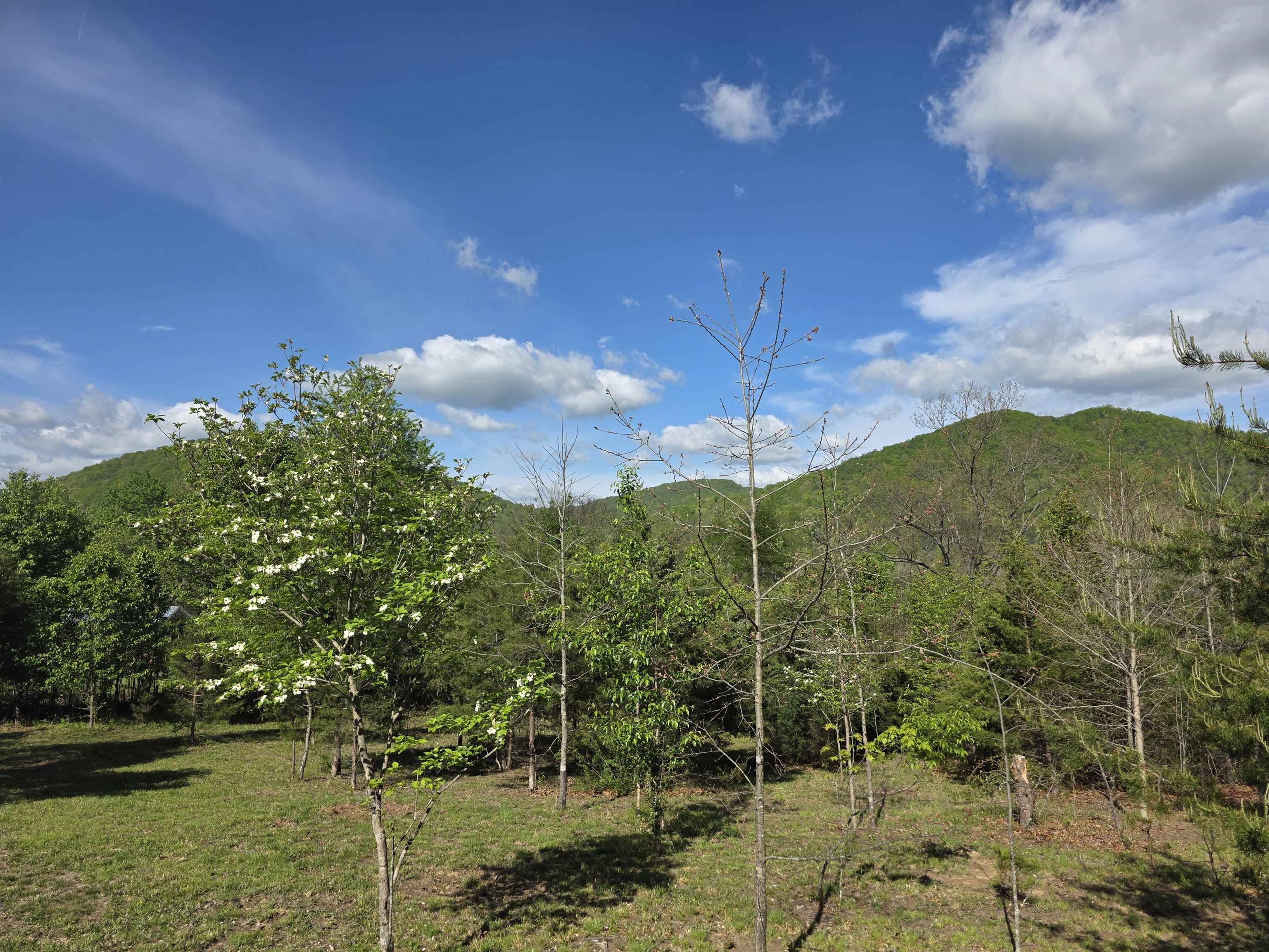 TBD, NATURAL BRIDGE STATION, Virginia 24579, ,Land,TBD,663895 MLS # 663895