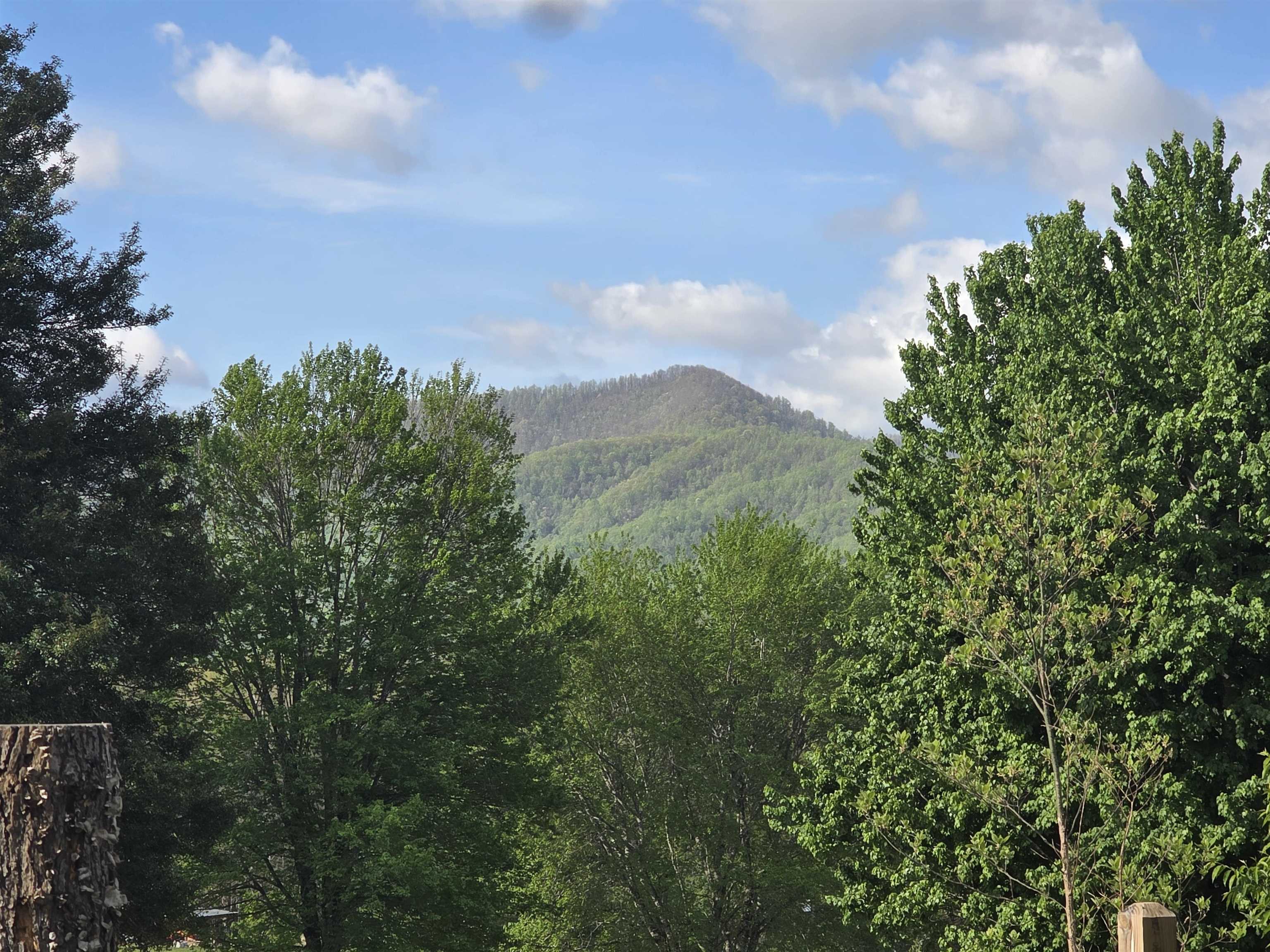 TBD, NATURAL BRIDGE STATION, Virginia 24579, ,Land,TBD,663895 MLS # 663895