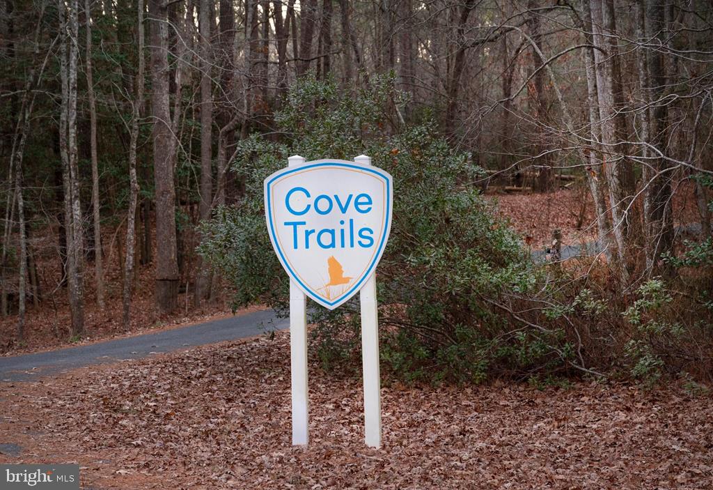 LOT 2126 BUCCANEER, GREENBACKVILLE, Virginia 23356, 3 Bedrooms Bedrooms, ,2 BathroomsBathrooms,Residential,For sale,LOT 2126 BUCCANEER,VAAC2001832 MLS # VAAC2001832