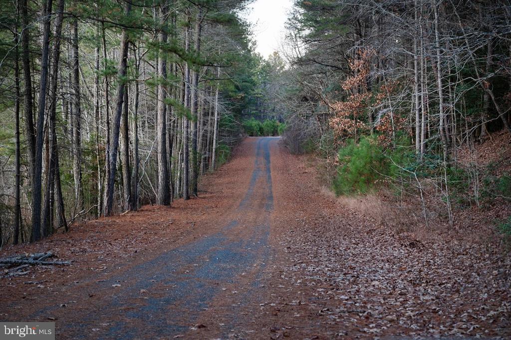 LOT 2126 BUCCANEER, GREENBACKVILLE, Virginia 23356, 3 Bedrooms Bedrooms, ,2 BathroomsBathrooms,Residential,For sale,LOT 2126 BUCCANEER,VAAC2001832 MLS # VAAC2001832
